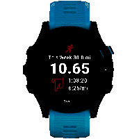 Garmin