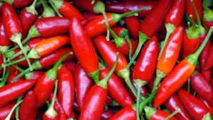 Red Peppers