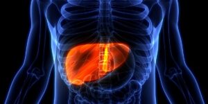 avoid liver damage