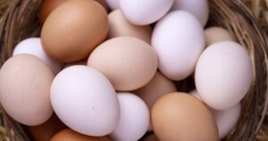 Eggs