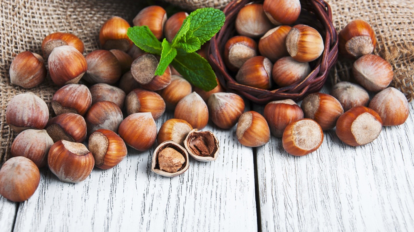 Amazing benefits of hazelnuts