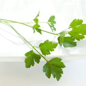 Parsley