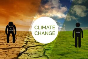 Climate-sensitive health hazards