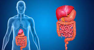 Gastroenterology and Hepatology