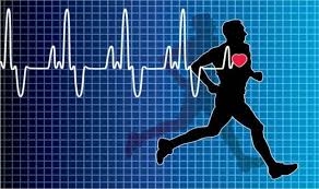 What are the top 11 workouts for heart health?
