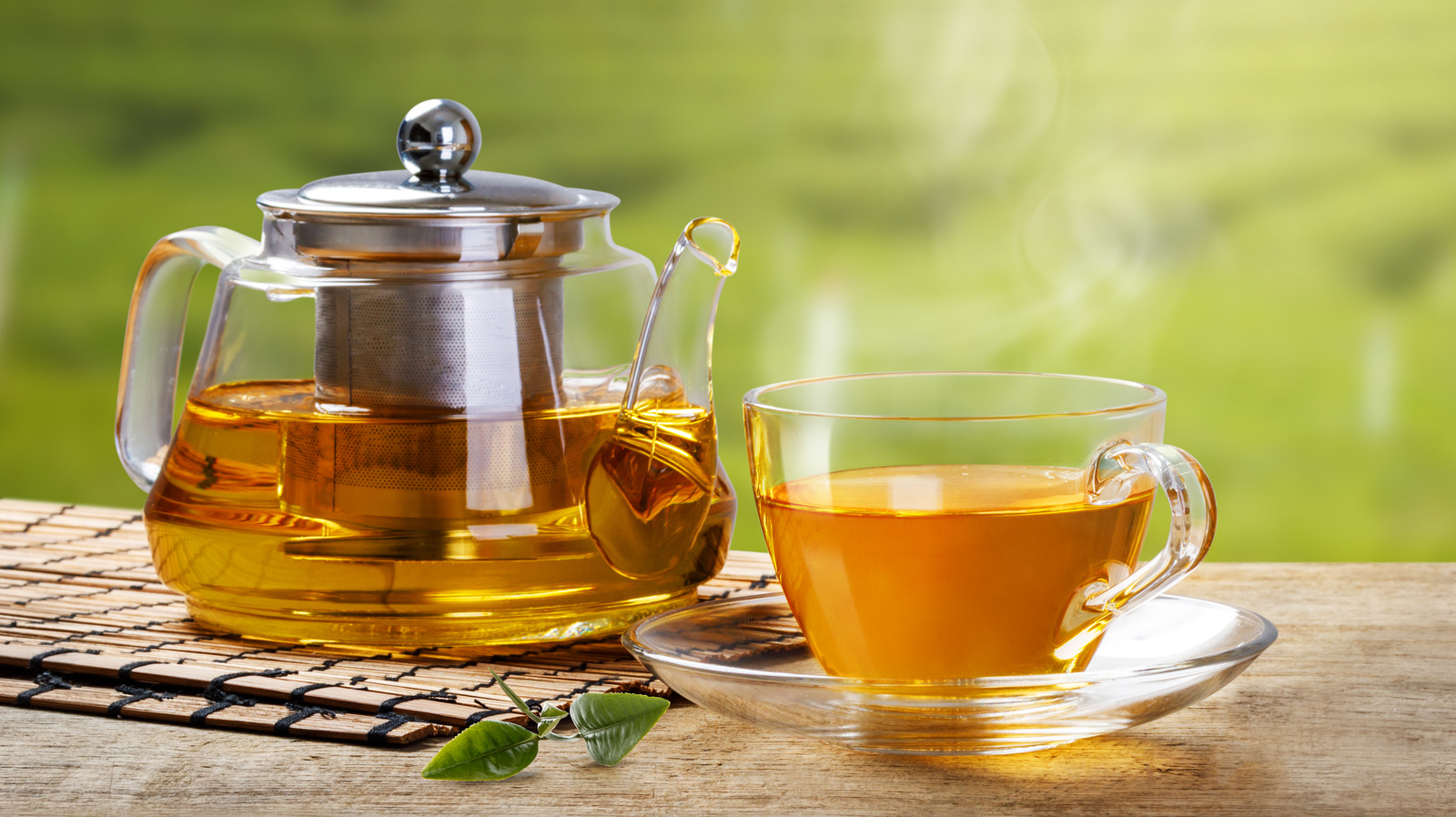 Tested by Experts: The Top 15 Teas