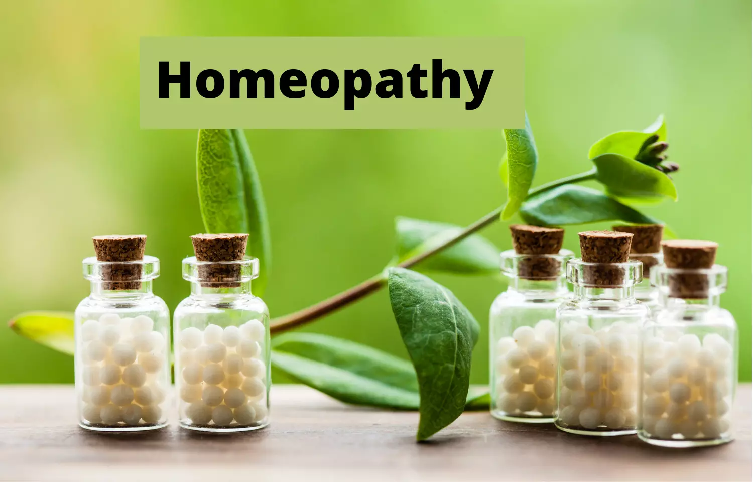 Healing Naturally: Exploring the World of Homeopathy