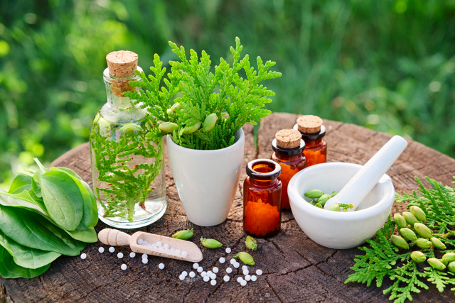 Gentle Medicine: Harnessing the Benefits of Homeopathy