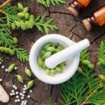 The Path to Wellness: A Journey into Homeopathic Medicine