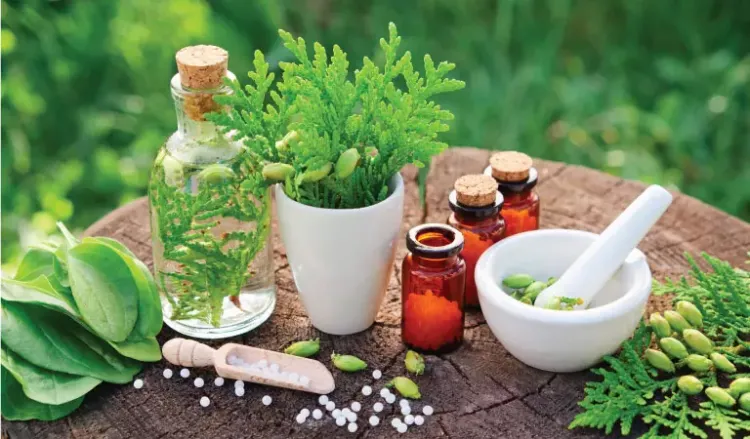 Healing with Simplicity: Embracing Homeopathic Remedies