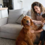 Pet Care : Tips and Advice for Keeping Your Furry Friends Happy and Healthy