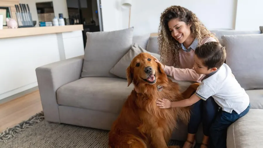 Pet Care : Tips and Advice for Keeping Your Furry Friends Happy and Healthy