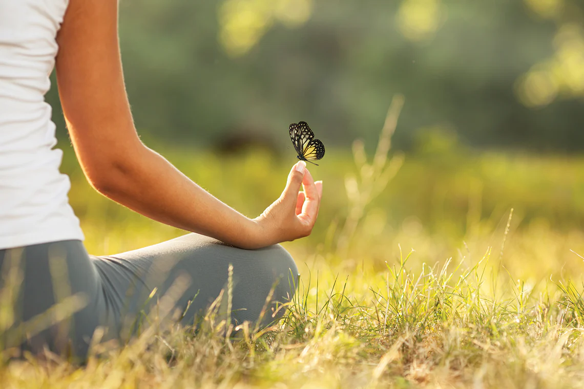 Mind-Body Harmony: Balancing Wellness in Modern Life