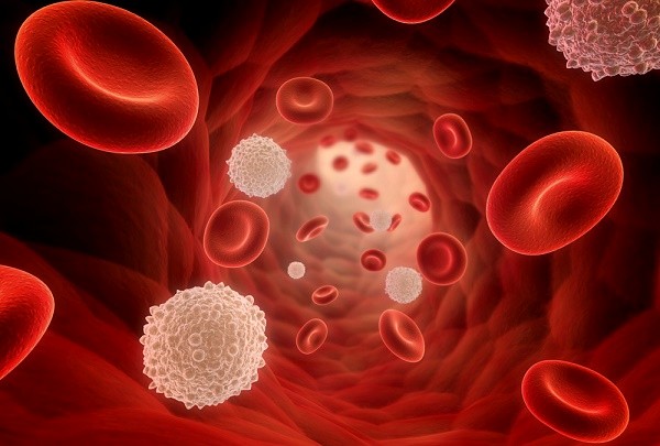 blood cancer2